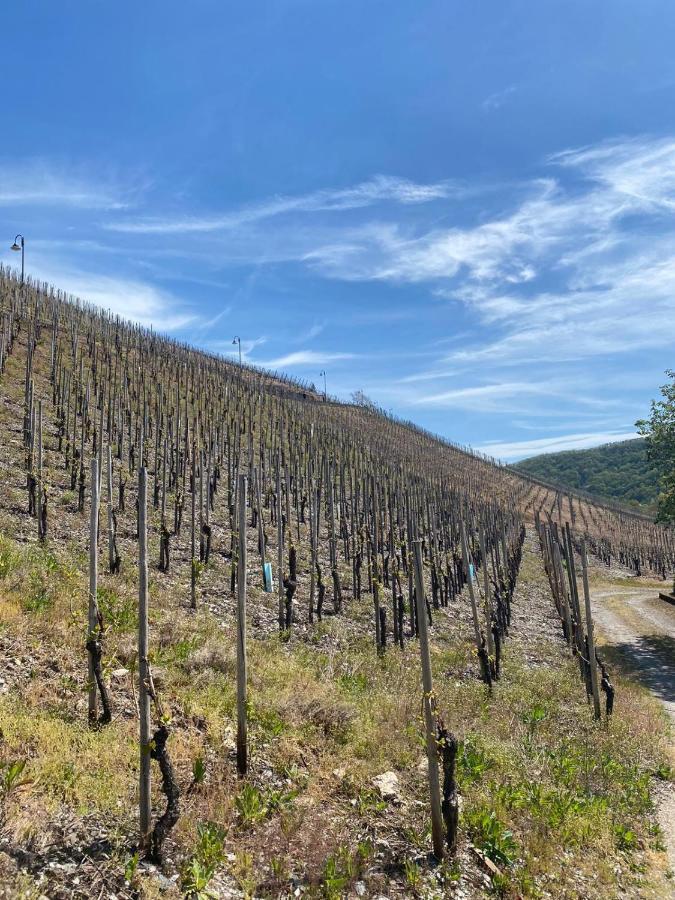Wein Und Gastehaus Marlene Pohl 호텔 킨하임 외부 사진